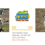 Promise Land Petting Farm