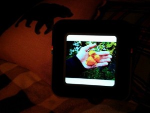 Cube Digital Photo Viewer 