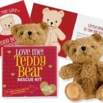 Valentines Teddy Bears