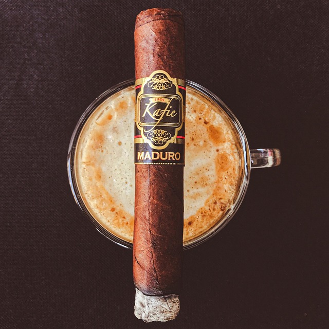 The Cigar