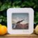 Cube Digital Photo Viewer for Instagram -Instagram Photos