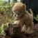 Spring Picture Books for kids