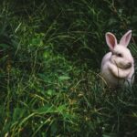 Easter gift ideas for preschoolers
