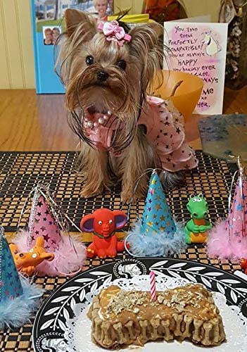 Petcakes Birthday Cake Kit 