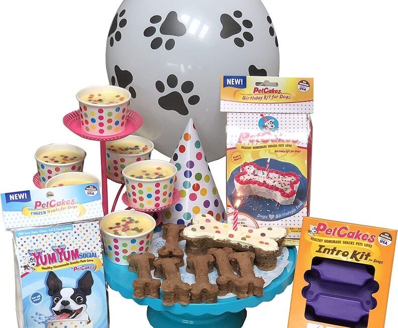 Dog cakes by Petcakes-How to Make a Doggie Birthday Cake