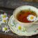 Pairing organic chocolate with organic teas