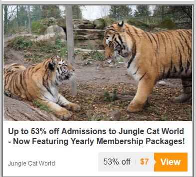 Jungle Cat World