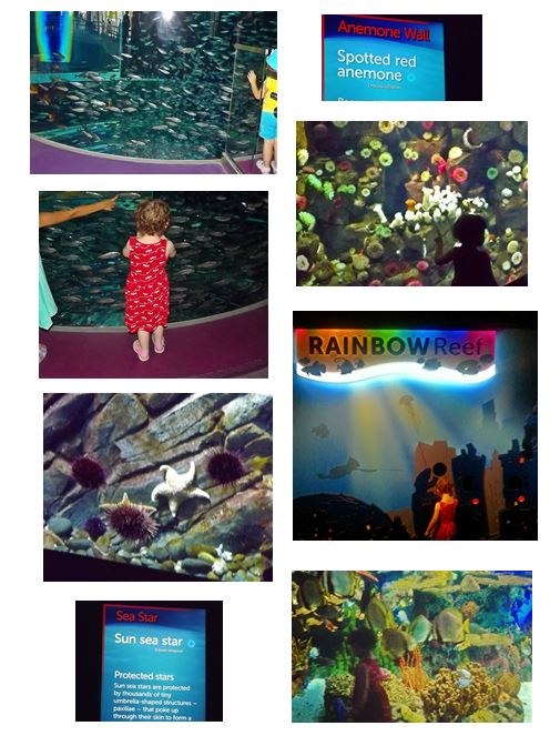 Ripley's Aquarium of Canada in Toronto