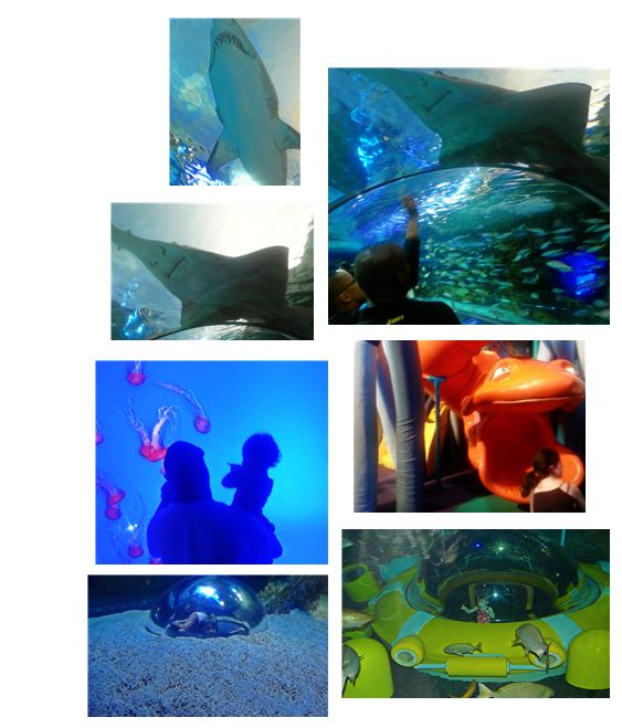 Ripley's Aquarium of Canada