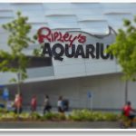 Ripley’s Aquarium of Canada-  Summer Family Fun