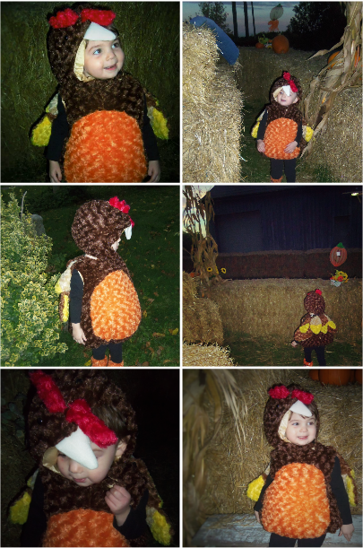 Classic Turkey Toddler Costumes