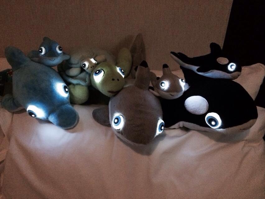 Night Buddies