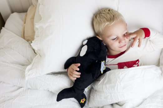 Oliver the Orca - NightBuddies