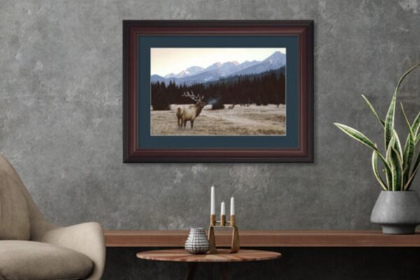 Framed Art makes the perfect gift