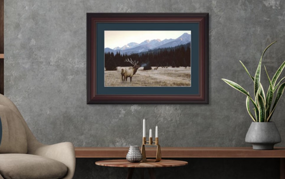 Framed Art makes the perfect gift