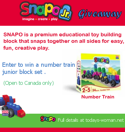 Snapo building blocks giveaway