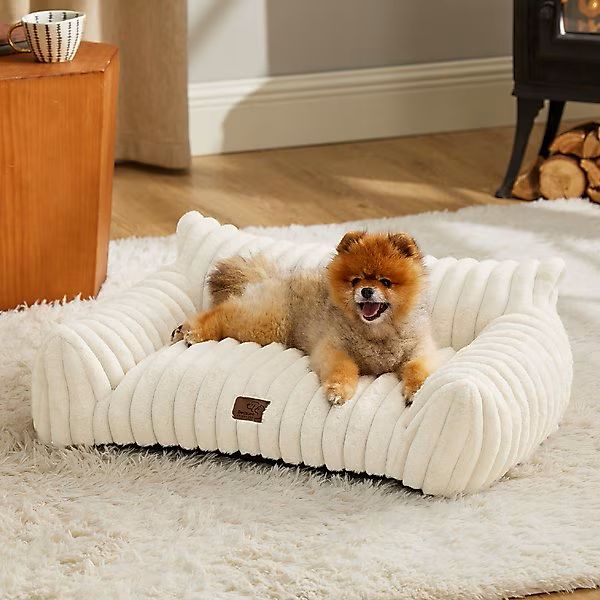 washable dog bed