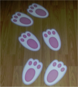 Bunny footprints