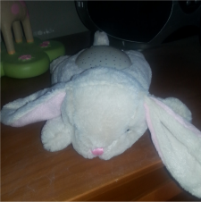 Dream Buddies™ - Bunny