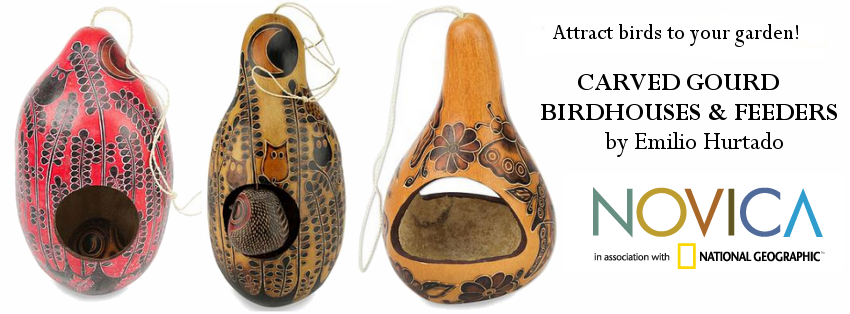 Peru Mate gourd bird feeder from Novica