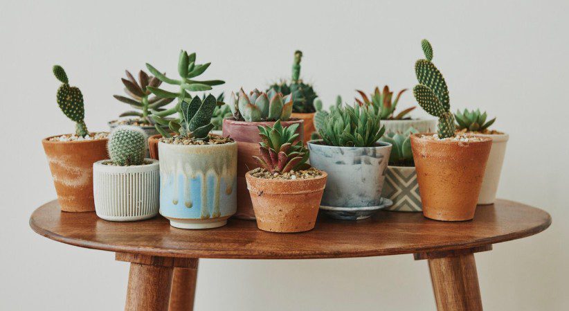 Budget-Friendly Planters That Make Great Gifts for Mom