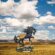 Trail of Painted Ponies – Cloud Hunter – Janee Hughes