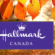 Hallmark Thanksgiving Fall Home Decor