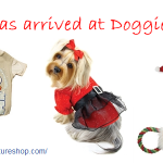 Doggie Couture Shop,