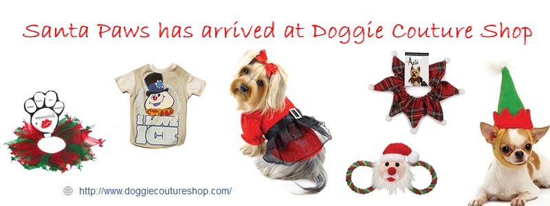Gift Ideas for your Dog
