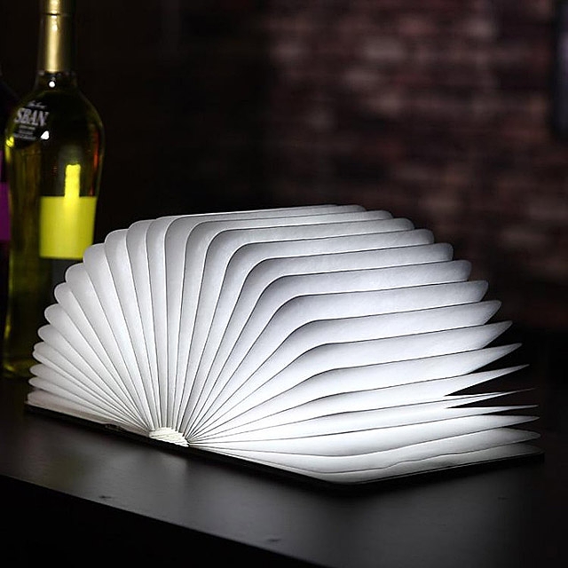 Folding Book Light