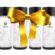 MatchaGo shaker makes the perfect gift