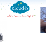 Stay Asleep Buddies Hedgehog