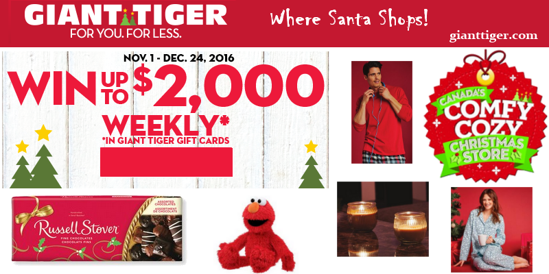 Last-Minute Gift Ideas from Giant Tiger