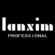LCD Display Flat Iron – Lanxim Professional