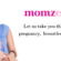 Momzelle Breastfeeding Apparel and Nursing Clothes