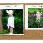Appaman Kids Summer Collection