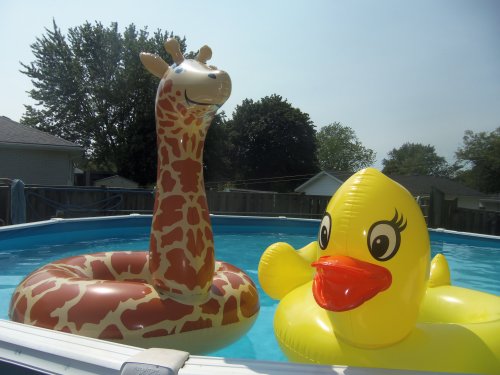 Inflatable Pool Floats