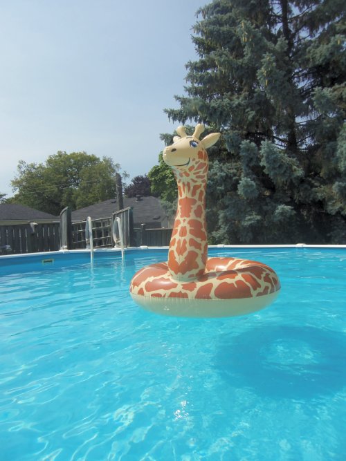 Inflatable Pool Floats