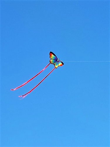 Rainbow Butterfly Kite