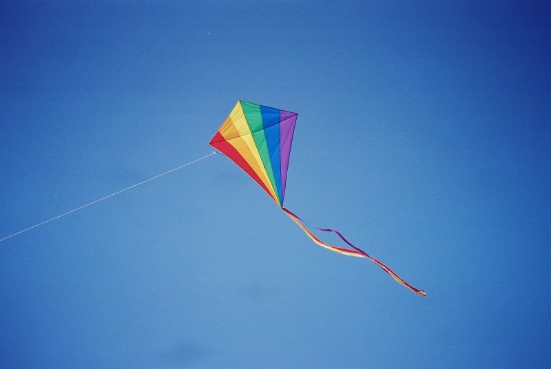 Let's Go Fly a Kite: A Complete Guide to Choosing the Best Kite for Kids