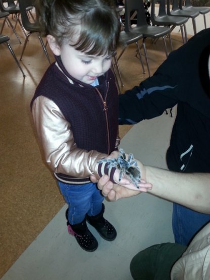 Little Rays Reptile zoo