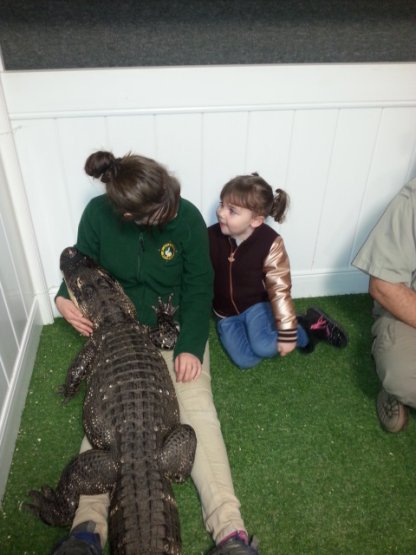 Little Rays Reptile zoo