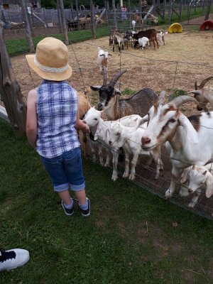 Promise Land Family Fun Farm