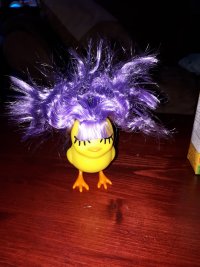 Chicks with wigs