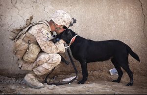 soldier and dog