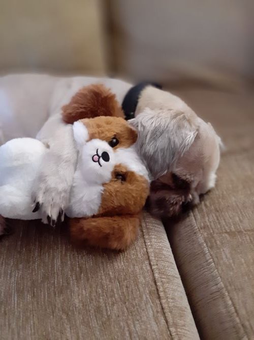 White & Brown 7'' Shih Tzu Plush