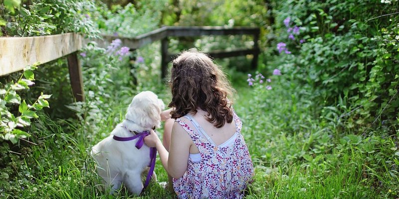 Intriguing Pet Trends to Keep an Eye on for Pet Owners