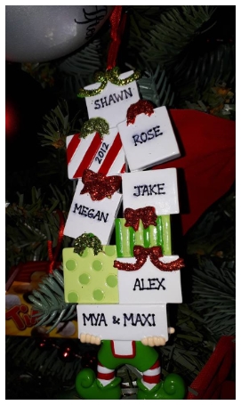 Shop Personalized Christmas Ornaments