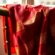 The Perfect Saree – Shopping Guide