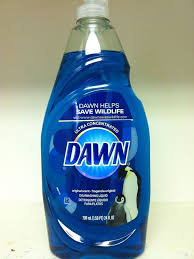 Dawn Dish Soap